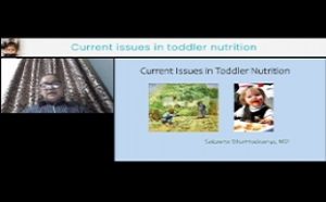 Current issues in toddler nutrition