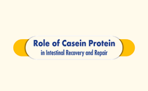 intestinal recovery and repair nusobee