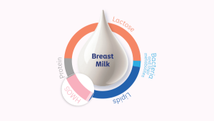 hmos breastmilk