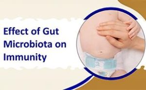 Effect of Gut Microbiota on Immunity