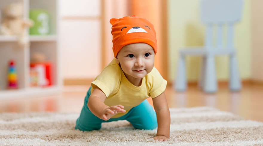 role of prebiotics in promoting healthy bacteria-and discouraging harmful bacteria